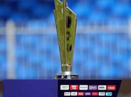 australia-alyssa-healy-retirement-india-series