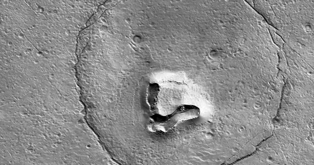 Teddy Bear on Mars