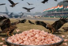 modi-government-buys-chicken-republic-day-security