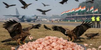 modi-government-buys-chicken-republic-day-security