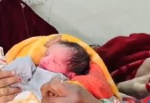 haryana-jind-37-year-old-woman-11-children