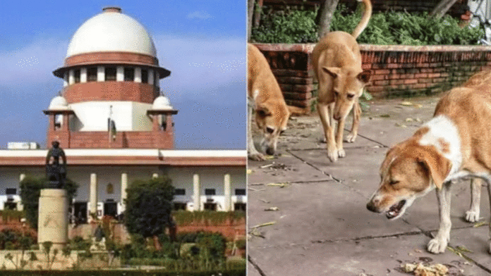 Supreme Court on stray dog