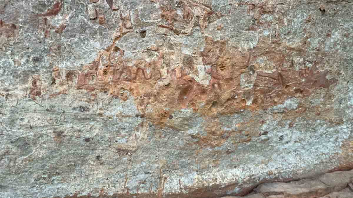 ওড়িশার মাটির নিচে খোঁজ মিলল হরপ্পার চেয়েও প্রাচীন সভ্যতার