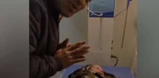 haryana-jind-woman-10-daughters-11th-child-son