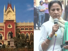 TMC planned court chaos