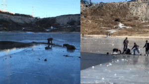 Sela Lake accident