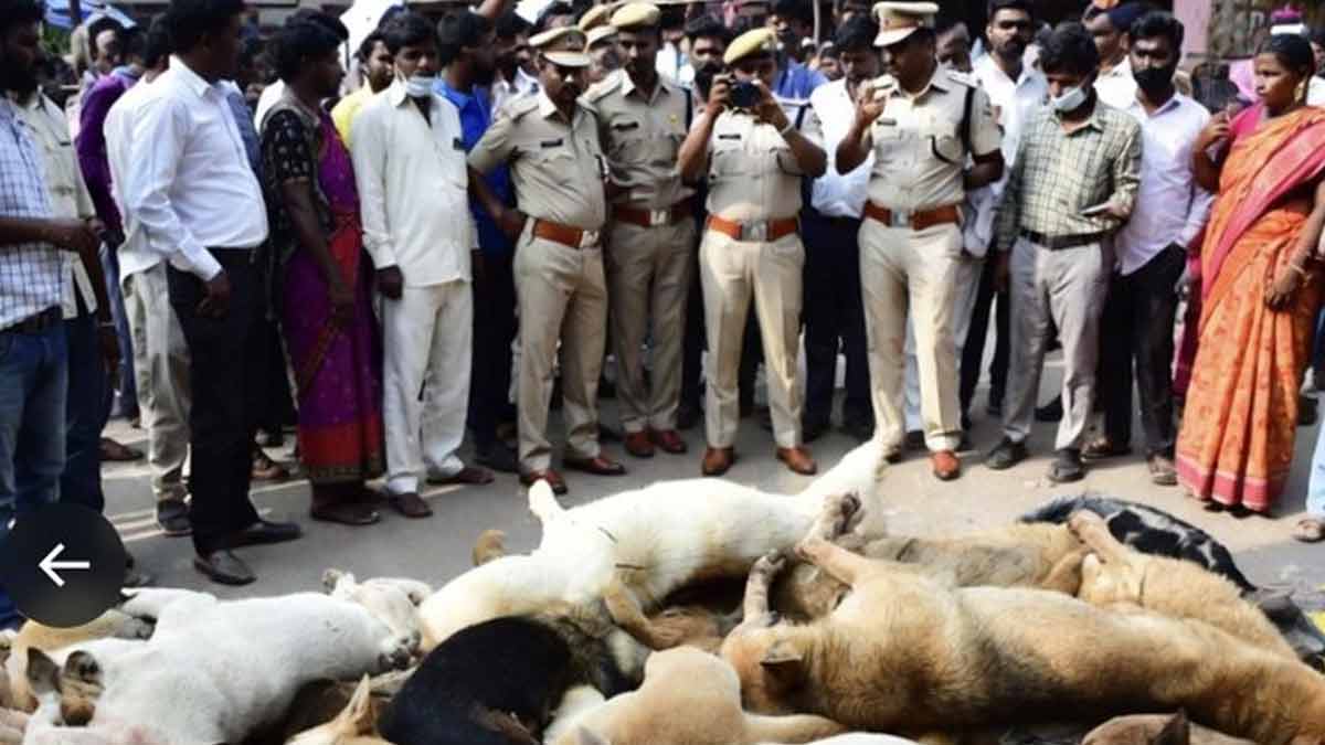telangana-stray-dogs-killing-hanumakonda