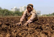 tobacco-excise-duty-hike-impact-farmers-india