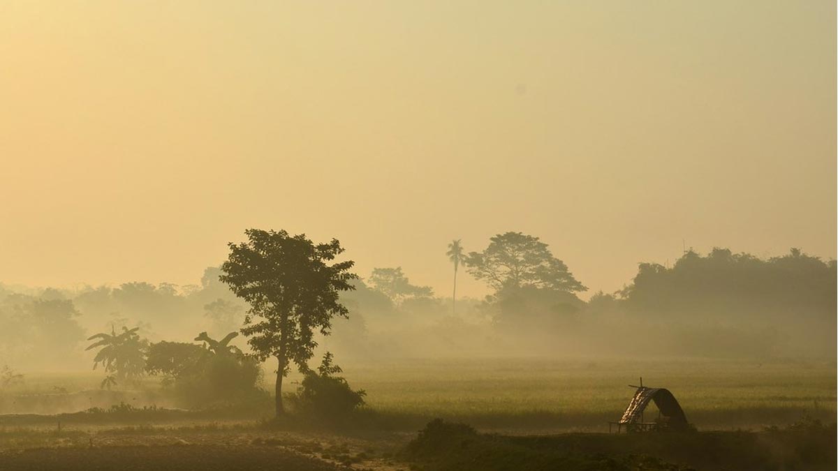 শীতের শেষ ধাপে কি বলছে বাংলার আবহাওয়া west-bengal-weather-update-february-winter-end