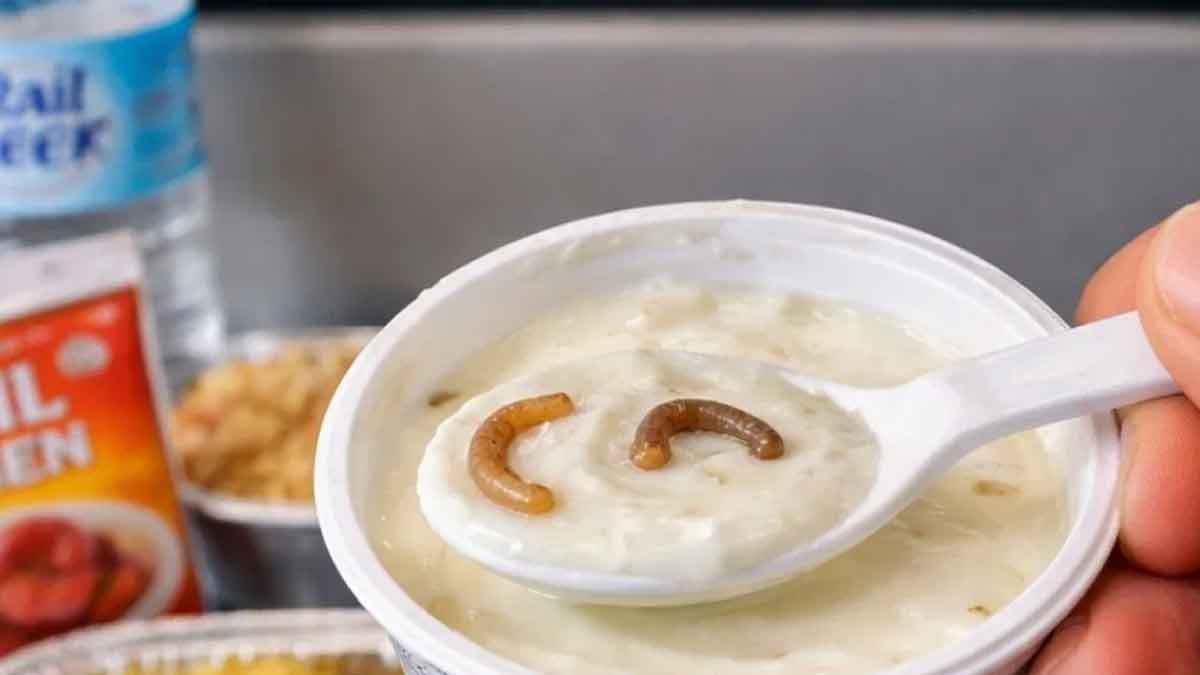 বন্দে ভারতে দইয়ে পোকা, আইআরসিটিসিকে জরিমানা ৬০ লক্ষ টাকা