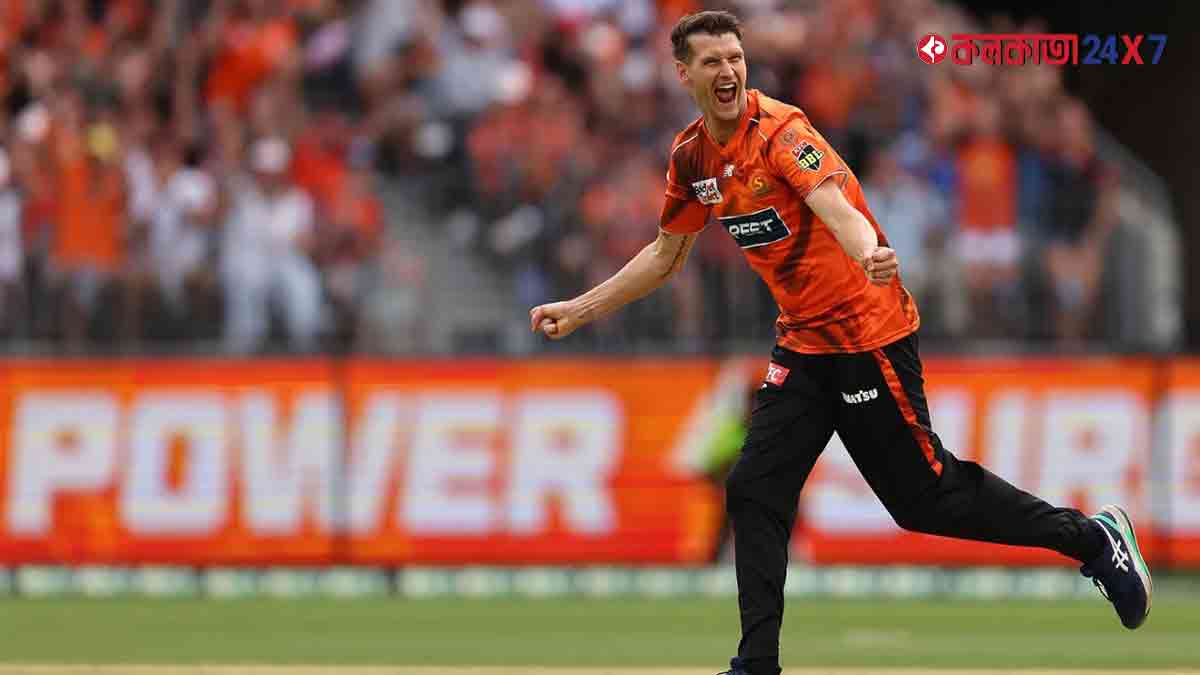 david-paine-injury-sunrisers-hyderabad