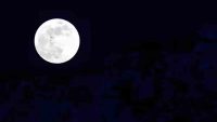 Blue Moon