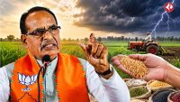 india-ready-for-kharif-season-no-seed-shortage-el-nino-preparedness