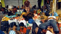 Hakimpur border verification of Bangladeshi infiltrators