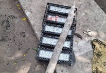 Six Year Old Girl Dies After Streetlight Collapse In Kolkata