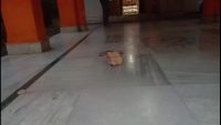parui-radhamadhab-temple-severed-cow-head-birbhum-news