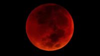 Lunar Eclipse