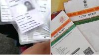 Multiple Personal Documents Found Abandoned at Tea Stall in Namkhana