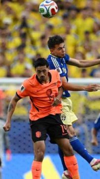 FIFA World Cup netherlands-thrash-sweden-5-1-climb-to-top-of-group