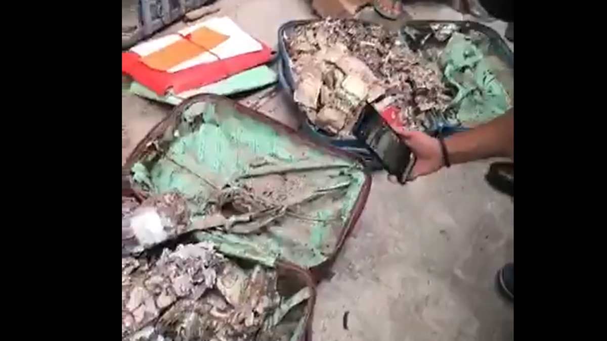 surendranath-college-union-room-cash-recovered-silverfish