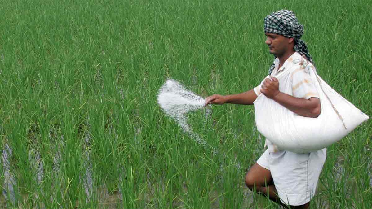 fertiliser-subsidy-spending-rises-40-percent-in-first-three-and-half-months