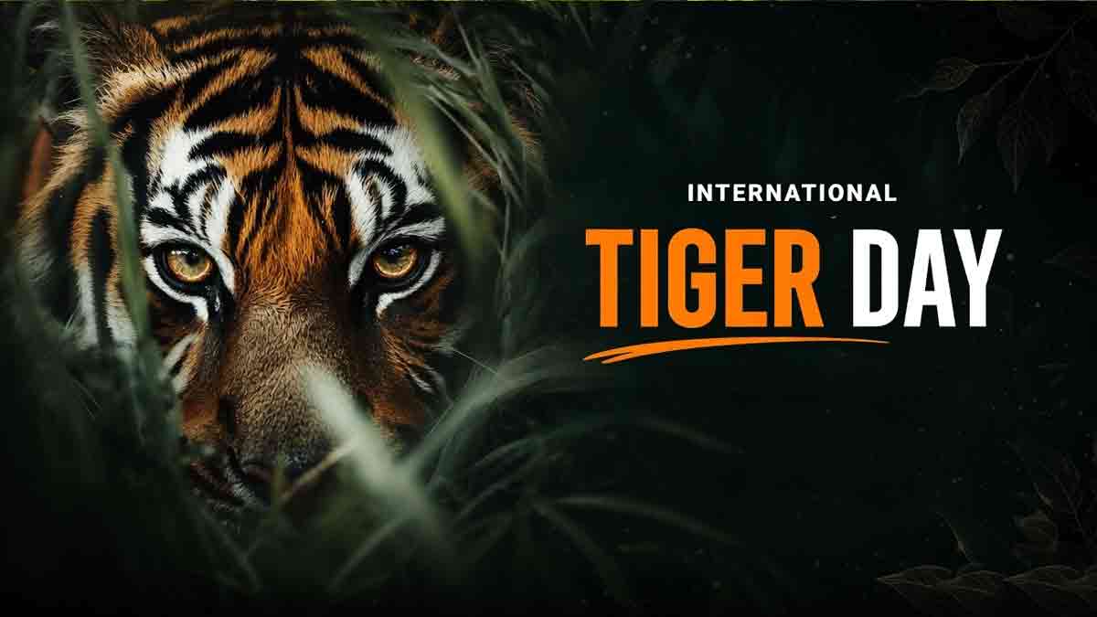 international-tiger-day-2026-india-70-percent-wild-tigers-conservation-success