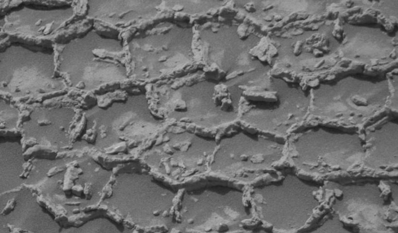 beehive like structure found in Mars