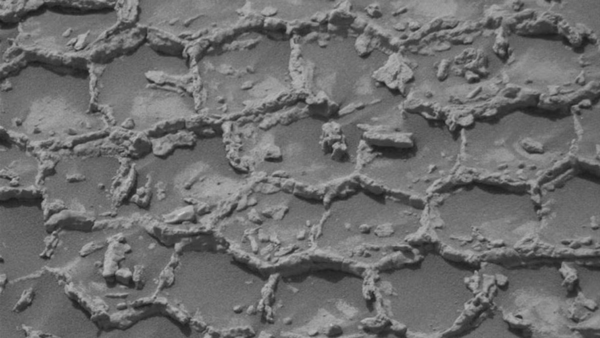beehive like structure found in Mars