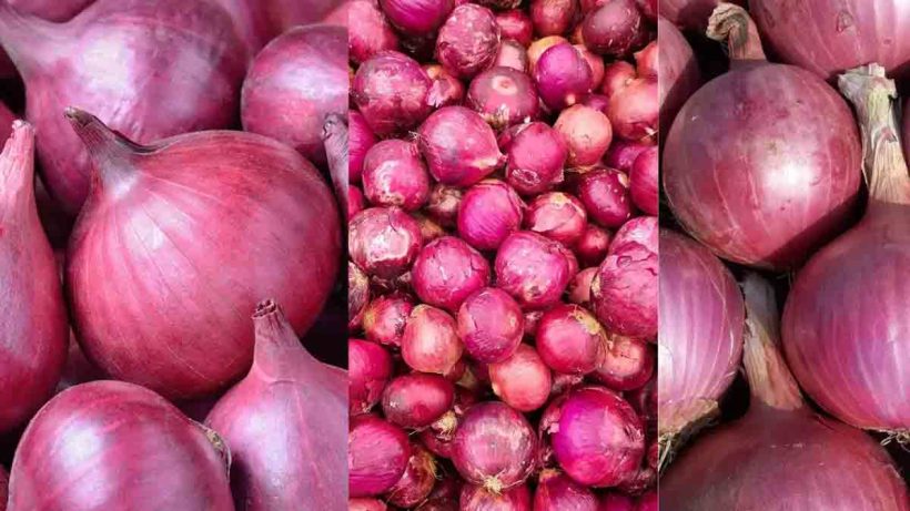 onion