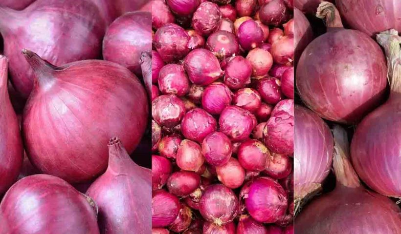 onion