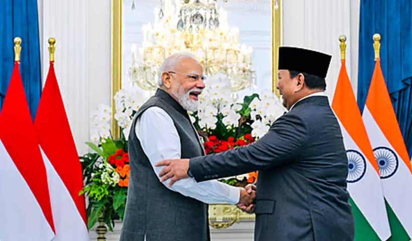 india-indonesia-rare-earth-minerals