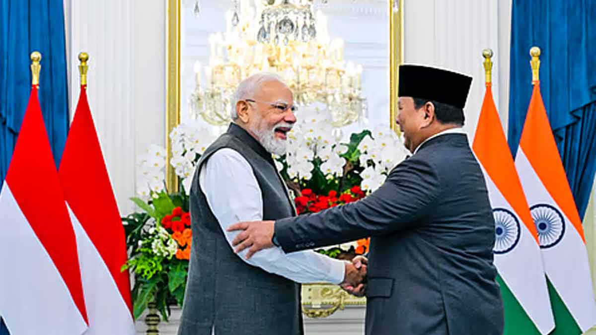 india-indonesia-rare-earth-minerals