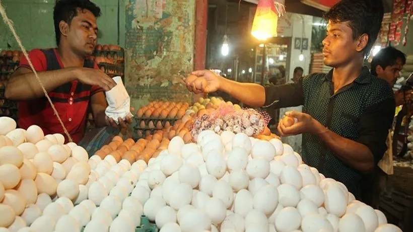 Poultry Farm in Jalpaiguri to Shut Down Following Leptospirosis and Jaundice Outbreak